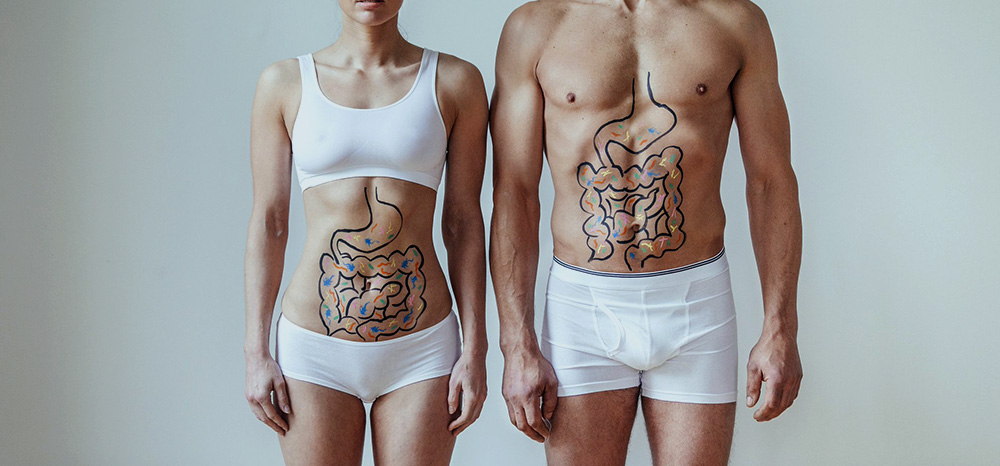 4 curiosidades sobre o funcionamento intestinal