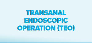 Transanal Endoscopic Operation (TEO) como os tratamentos minimamente invasivos têm beneficiados os pacientes