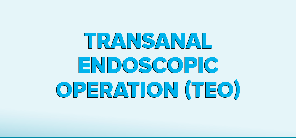 Transanal Endoscopic Operation (TEO) como os tratamentos minimamente invasivos têm beneficiados os pacientes