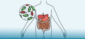 Estudo sugere que a microbiota intestinal tem influência na persistência dos sintomas da Covid-19