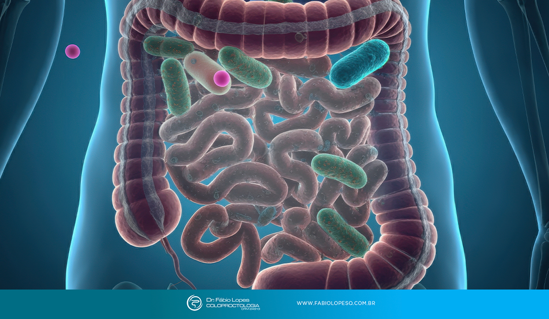 Sua microbiota intestinal também sente os exageros das festas e aqui está o que fazer depois